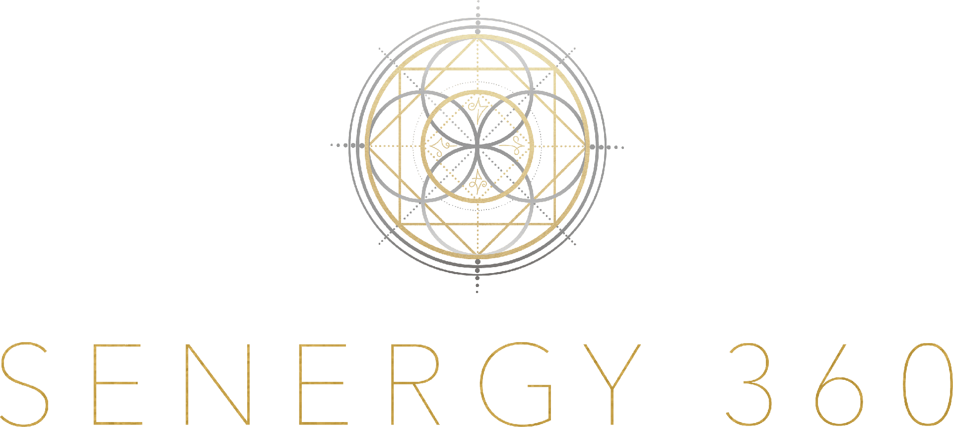 SENERGY360